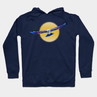 Hawk Starburst Hoodie